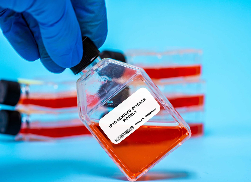 iPSC 来源外泌体